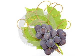 Cluster of a grapes
