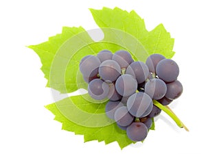 Cluster of a grapes