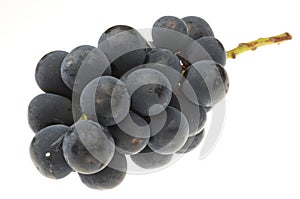 Cluster of grapes