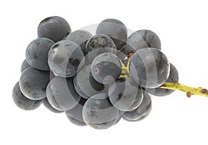 Cluster of grapes