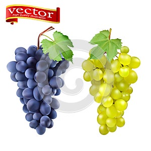 Cluster of grapes red and white 3d vector set for design. Bunch of grapes ripe, juicy, high detail vector