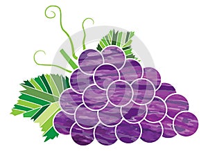 Cluster of grapes with tones of purple patterned colores