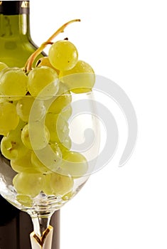 Cluster of grapes in the wineglass