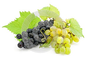 Cluster of green and blue grape isolated on white