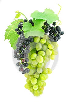 Cluster of green grape isolated on white