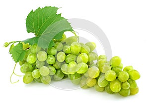 Cluster of green grape isolated on white