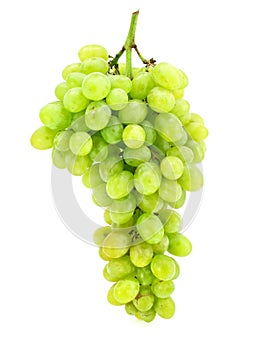 Cluster of green grape isolated on white