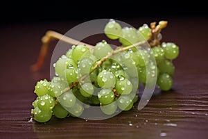cluster of green grapes with dew drops