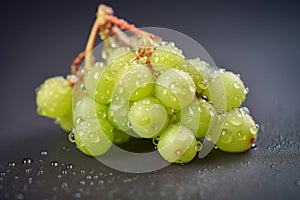 cluster of green grapes with dew drops