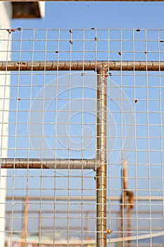 A cluster of ladybugs on a metal grid.Ladybugs have invaded the south of Russia.Metal mesh and red bugs with black spots