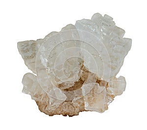 Cluster of natural salt crystals
