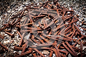 Cluster of railroad nail spikes lay on gravel rocks.