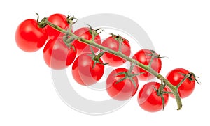 cluster of ripe red Cherry tomatoes isolated