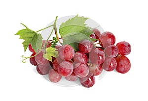 Cluster of ripe red grapes with green leaves on white background