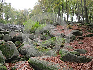 Cluster of rocks in Hessia