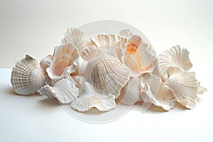 Cluster of seashells on a white background. Generative AI.