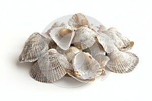 Cluster of seashells on a white background. Generative AI.