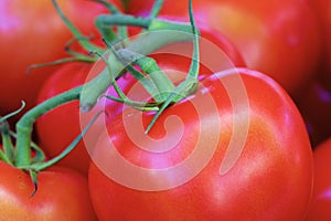 Cluster Tomato Close-up   836670