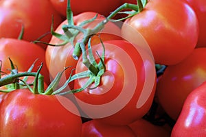 Cluster Tomato Close-up   836671