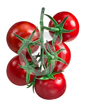 Cluster of tomatoes, paths