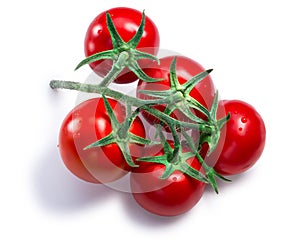 Cluster of tomatoes, paths, top view