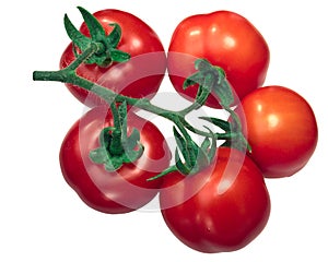 Cluster of tomatoes on the vine tov, top