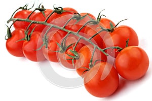 Cluster tomatoes on a white background