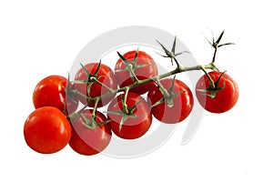 Cluster tomatoes on white background