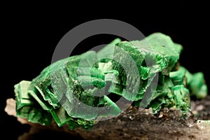 Cluster of Very Radioactive and green Torbernite Mineral