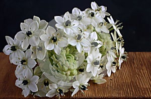 CLUSTER OF WHITE CHINCHERINCHEE FLOWERS ON A WOODEN SURFACE