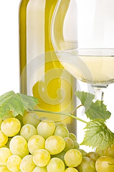 Cluster of white grapes with grapevine, glass of wine and bottle on white background