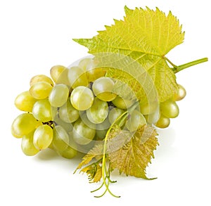 Cluster white grapes with leaf