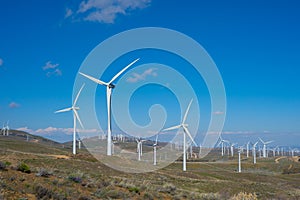Cluster of Windmills for Clean Energy