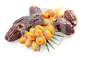 Cluster of yellow fresh dates, and semi-dried dates isolated on white background. File contains clipping path photo