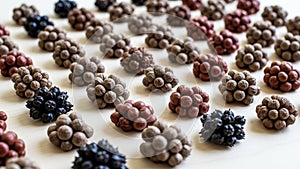 Contrast against the background highlighting the diversity and