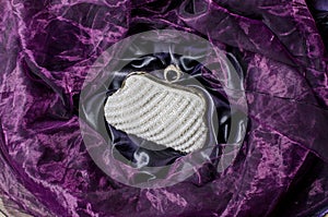 Clutch with pearls on a silk background