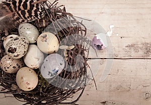 Clutch Of Speckled Easter Eggs