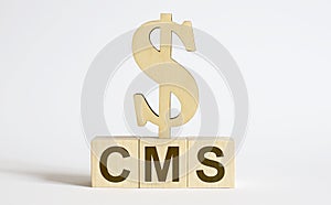 CMS Content Management System text on the wooden blocks with wooden dollar