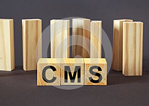 CMS written on a wooden cube