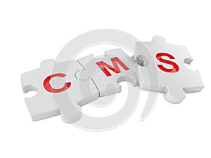 CMS jigsaw concept