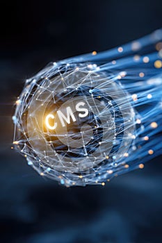 Cms platform model: digital structure, content interface, data module, website framework, system portal, media
