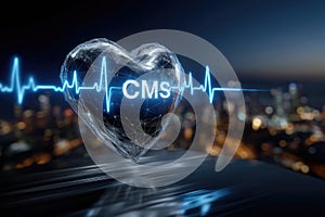 Cms platform model: digital structure, content interface, data module, website framework, system portal, media