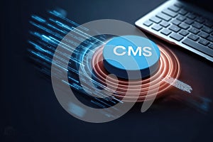 Cms platform model: digital structure, content interface, data module, website framework, system portal, media