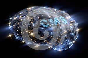 Cms platform model: digital structure, content interface, data module, website framework, system portal, media