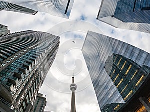 CN tower in between two buildings in downtown Toronto Canada