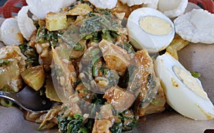 CNN winning top food called gado gado, or lotek, consists of various vegetables, eggs, tempeh, and lontong with peanut sauce photo