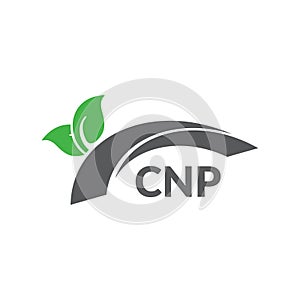 CNP letter logo design on white background. Creative modern CNP letter logo design. Vector design