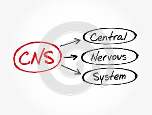 CNS - Central Nervous System acronym