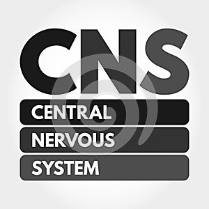 CNS - Central Nervous System acronym concept