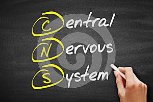 CNS - Central Nervous System acronym, concept on blackboard photo
